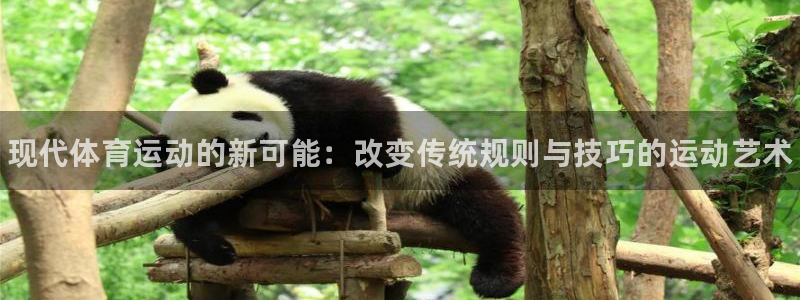 MK体育官网下载招商电话地址是多少:现代体育运动的新可能:改