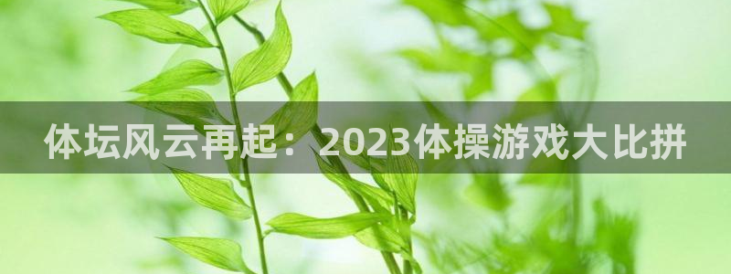 德国MK体育官方正版app集团:体坛风云再起:2023体操游