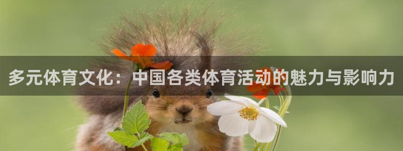 MK体育官方正版app神州:多元体育文化:中国各类体育活动的
